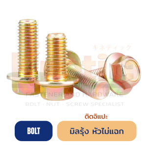 มิลรุ้ง ติดอิแปะ ไม่แฉก