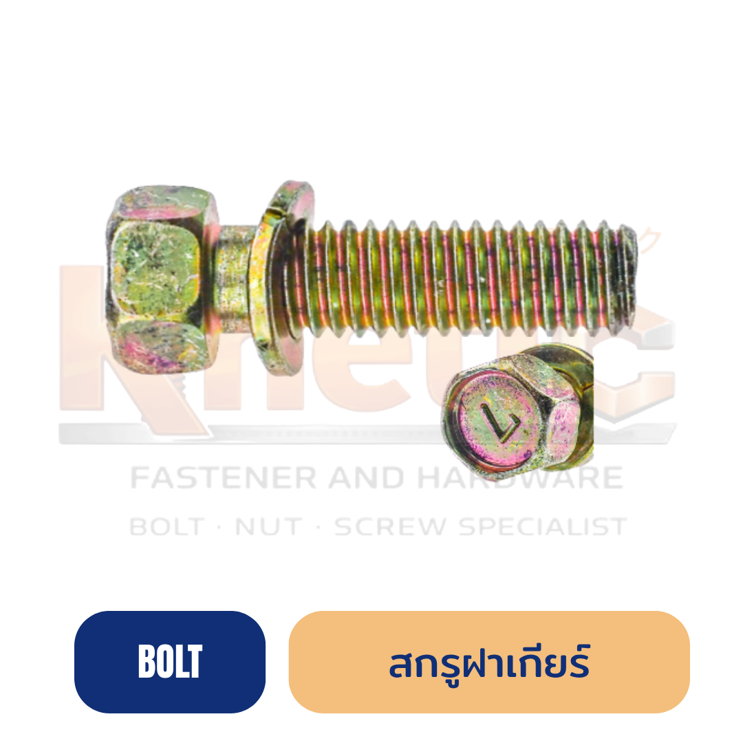สกรูฝาเกียร์ หัวเลข 7 | ขายส่งอะไหล่