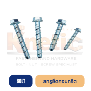 สกรูยึดคอนกรีต | สกรูคอนกรีต แข็งแรง ติดตั้งง่าย สำหรับงานยึดปูน