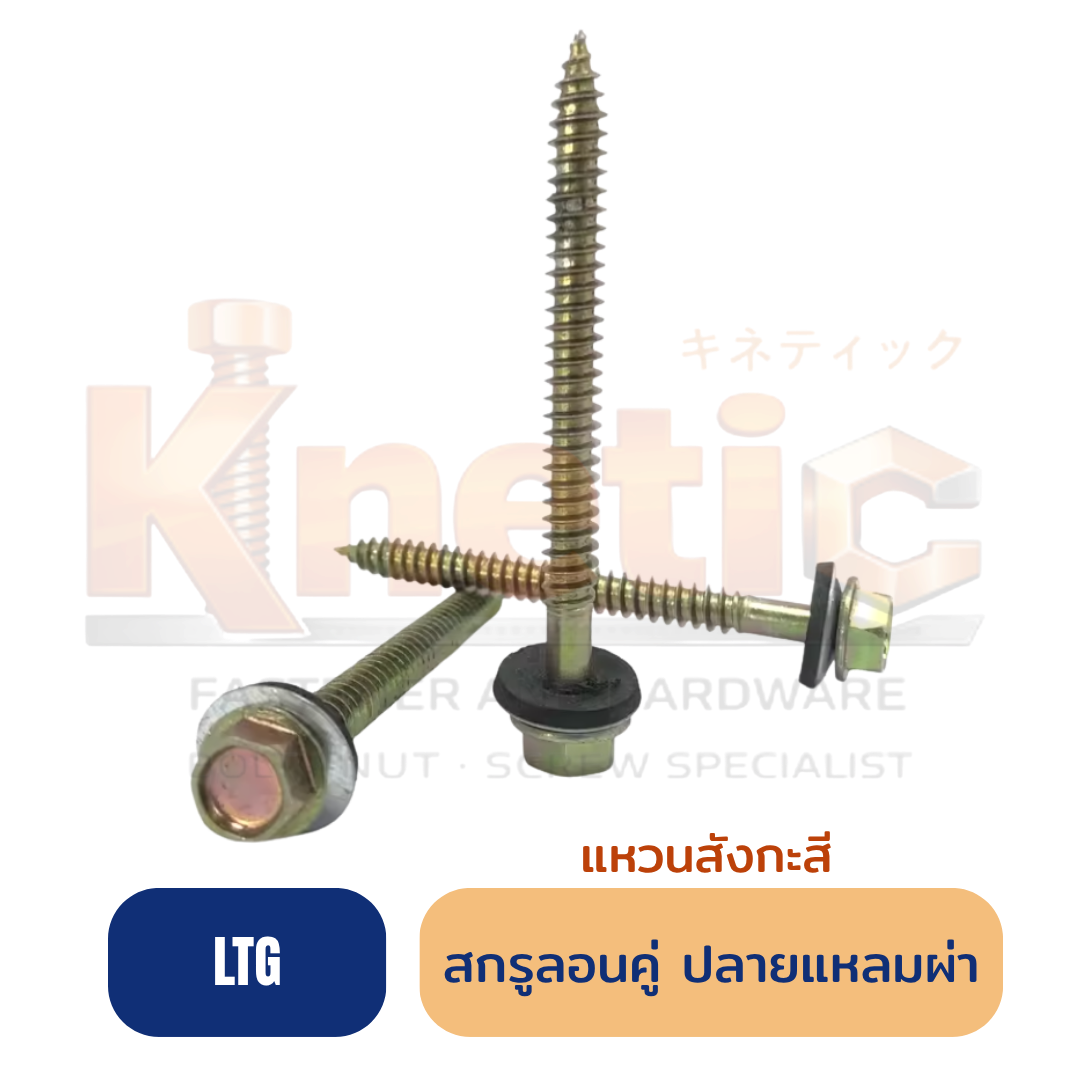 สกรูลอนคู่ ปลายสว่าน แหวนสังกะสี แปไม้ (LTG)
