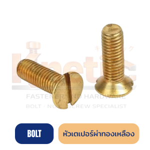 สกรูหัวเตเปอร์ผ่า ทองเหลือง | สกรูหัวจมทองเหลือง ทนการกัดกร่อน