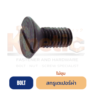 สกรูหัวเตเปอร์ผ่า (ไม่ชุบ) | สกรูหัวจมผ่า ผิวเหล็กดิบ สำหรับงานประกอบ