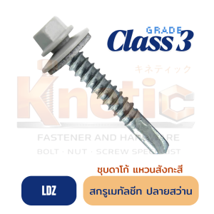 สกรูเมทัลชีท ปลายสว่าน แหวนสังกะสี แปเหล็ก (LDZ)