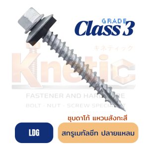 สกรูเมทัลชีท ปลายแหลมผ่า แหวนสังกะสี แปไม้ (LDG)