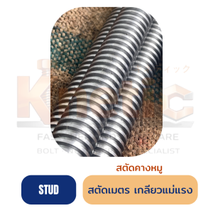 สตัดเมตรเกลียวแม่แรง สตัดคางหมู