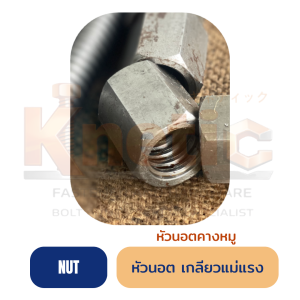 หัวนอตเกลียวแม่แรง หัวนอตคางหมู