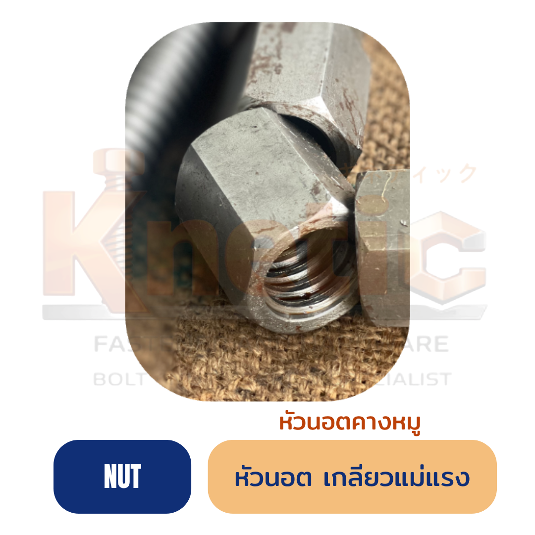 หัวนอตเกลียวแม่แรง หัวนอตคางหมู