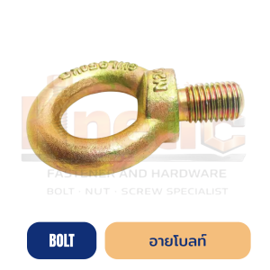 อายโบลท์ (Eye Bolt) | โบลท์ห่วงสำหรับงานยก