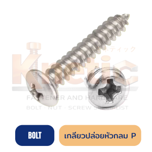 เกลียวปล่อยเหล็ก หัวกลม (P) | สกรูปลายแหลม ยึดแน่น งานเหล็ก งานไม้