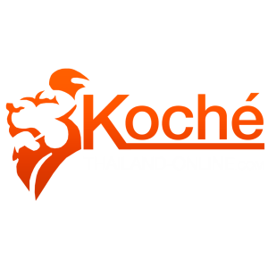 KOCHE เครื่องมือช่าง อุปกรณ์จับ ยึด ถอด ไข | ลูกบล็อกครบทุกแบบ