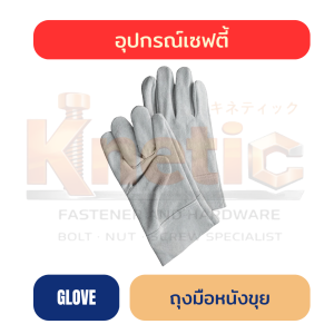 ถุงมือหนังขุย | แบบสั้นและแบบยาว