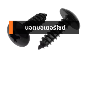 นอตมอเตอร์ไซต์
