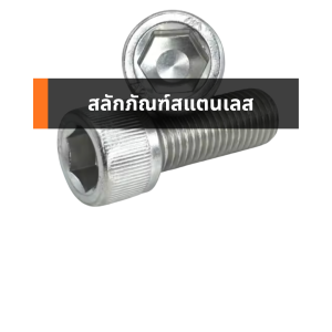 สลักภัณฑ์สแตนเลส